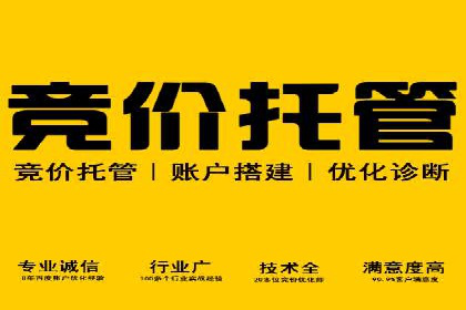 谷歌SEM案例研究：如何应对竞争对手